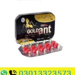 Gold Ant Timing Tablets in Pakistan